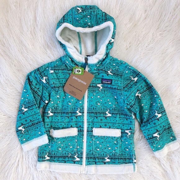 Patagonia Other - ✖️SOLD✖️Patagonia Hoody 3T